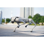 Roboty czworonożne
