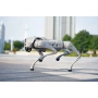 robot_kroczacy_unitree_go2